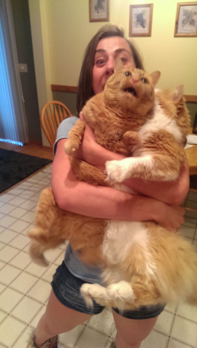 agonizing-struggles-that-prove-cat-owners-are-the-best-people-ever (24)