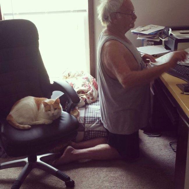 agonizing-struggles-that-prove-cat-owners-are-the-best-people-ever (39)
