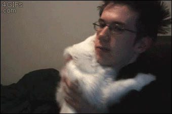 agonizing-struggles-that-prove-cat-owners-are-the-best-people-ever13