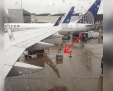 Passengers Are Furious When United Airlines Leaves Dog Out In The Cold