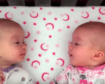 Identical Twins Communicate With Each Other In A Secret Language