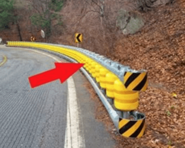 This Just Looks Like An Ordinary Roadside Barrier But How It Works Will Blow You Away