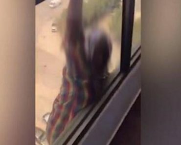 A Maid Dangling From A High-Rise Window Begged For Help. Her Boss Filmed Her Instead