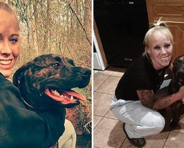 Virginia Woman, 22, Found Mauled To Death By Her Pit Bulls