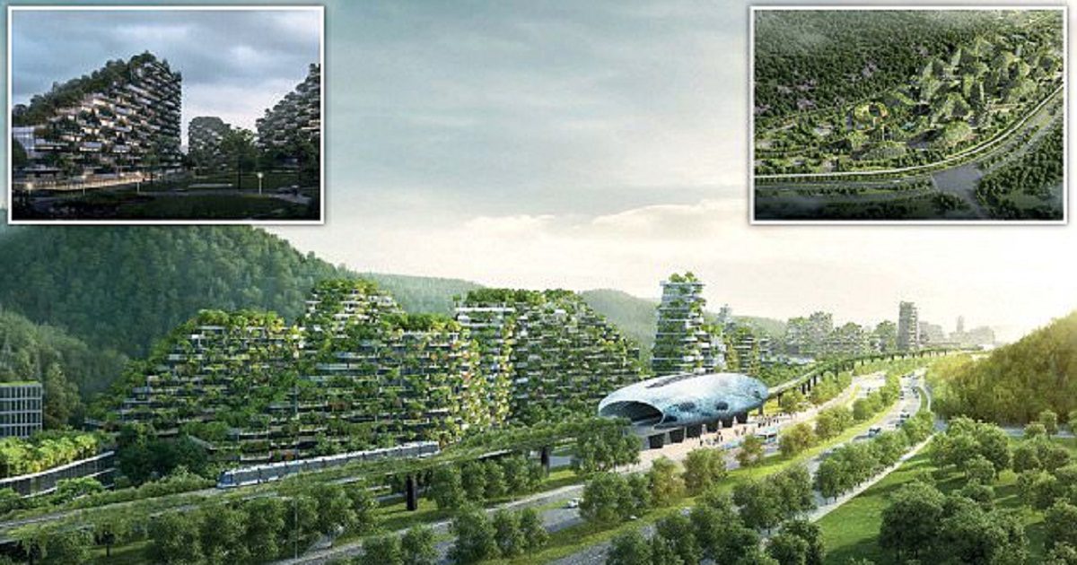 City of trees. The Architecture of Trees. Colombia Expansion City Trees City.