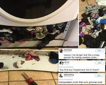 Images Of Socks ‘Eaten’ By A Washing Machine Go Viral