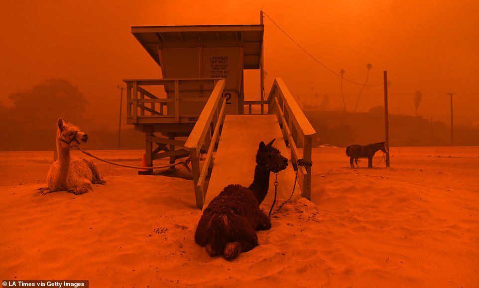california wildfire deadliest