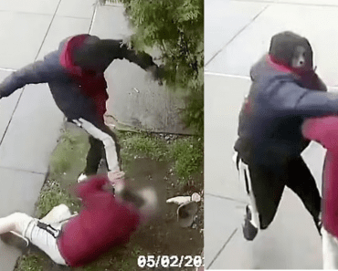 Bronx Robbery Attacker Punched and Kicked 79-year-old Man