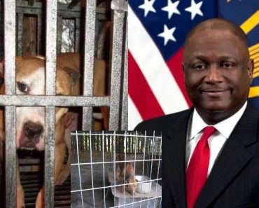 Pentagon Official, Frederick Douglass Moorefield Arrested For Dog Fighting